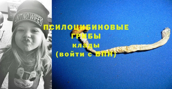 Альфа ПВП Володарск